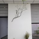 내츄럴스페이스 이미지