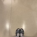 (주)가보금속 | 난소 경계성종양 진단 및 입원, 수술 후기 &lt;1&gt;