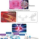 건강도움약국 이미지