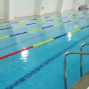 영덕문화체육센터수영장 이미지