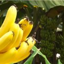 영걸농장 이미지