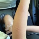 제이메디컬 이미지