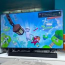 도토리플스 이미지