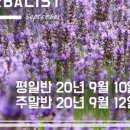 국제리더관리협회
