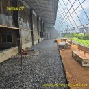 여주-1049 이미지