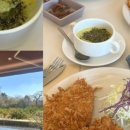 라데나 제주 이미지