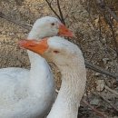 김종열농장 이미지