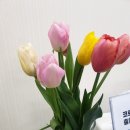 변호사박승범법률사무소 이미지