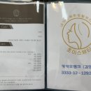 샵초이스