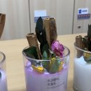 라탄 & 마크라메 생활공예 이미지