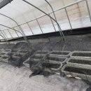 금송하우스 이미지