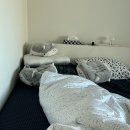 배롱나무 특화거리 | 우당탕탕 이사 일기~내 집 마련 계획부터 짐 정리까지~