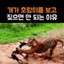 엘런 마스크의 웃음, 김계리의 눈물..... 세상은 요지경 이미지