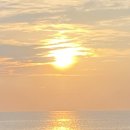정애횟집 | 독도 가는 법, 배편, 입도, 독도짬뽕점, 현포항 울릉도독도해양연구기지 스노클링, 오징어회타운, 정애식당