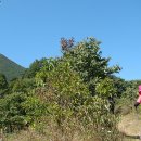 말목산 입구 이미지