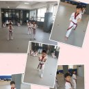 계룡태권도 이미지