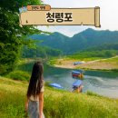 선돌디자인 | 영월 여행 가볼만한곳 청령포 왕과사는남자 단종 유배지 추천코스