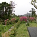 힐빙 인 제주 이미지