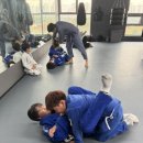 가람주짓수 이미지