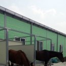 세계승마클럽 이미지