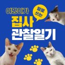 잘래 이미지