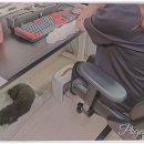 한양 | 겨울 가정용 발온풍기 전기 발난로 한양 후기