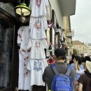 동외광장(현대차 앞) | 동유럽 4국 신혼여행 7박9일 패키지 2일차 (부다페스트 관광·야경크루즈 후기)