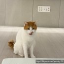 한일상회 | 창원 중동 해장 맛집 / 현지인 추천 로컬 돼지국밥 장수촌24시돼지국밥 창원1호점(+한일회센터 향어회)