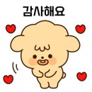 Kmotors 이미지