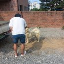 강변석정 네이버블로그