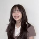 하이-디 이미지