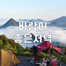 군위댐야영장 | 좋은저녁 캠핑장(최신) (예약방법, 뷰 명당 추천) 대구캠핑장 군위캠핑장 나혼산캠핑장 군위 가볼 만한 곳