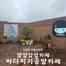 N38 양양 감성카페 바다지기공방카페 추천♡