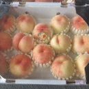 모서농업협동조합 이미지