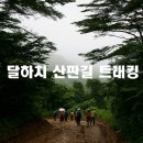 달하치 산판길(양양) 이미지