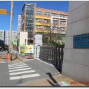 몰운대초(학교담장) 이미지