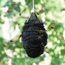 벌등공원 이미지