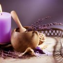 미인본가 이미지