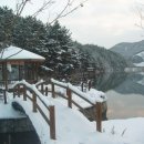 해송 이미지
