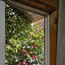 동백목장2 이미지