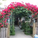 야촌원두막 이미지