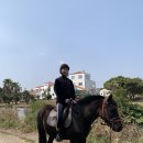 씨앤피리조트