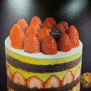 부티크 아우라 | 성심당 딸기시루 웨이팅 가격 성심당케익부띠끄 딸기 케이크 구매 후기