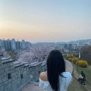 건대 미용실 / 아오브 / 후기 가격