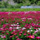 서원정보 - 전주시 완산구 난전들로 220-55 | 서원정보