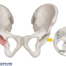 환술