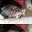 동글동글 이미지