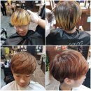 살롱드파인 이미지