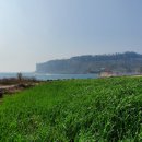 알파(주)본점 이미지