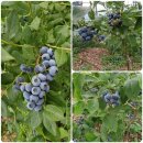 한산1리마을회관 이미지